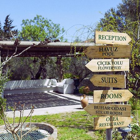 Olive Farm Of Datca Guesthouse (Adults Only) Zewnętrze zdjęcie