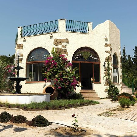 Olive Farm Of Datca Guesthouse (Adults Only) Zewnętrze zdjęcie
