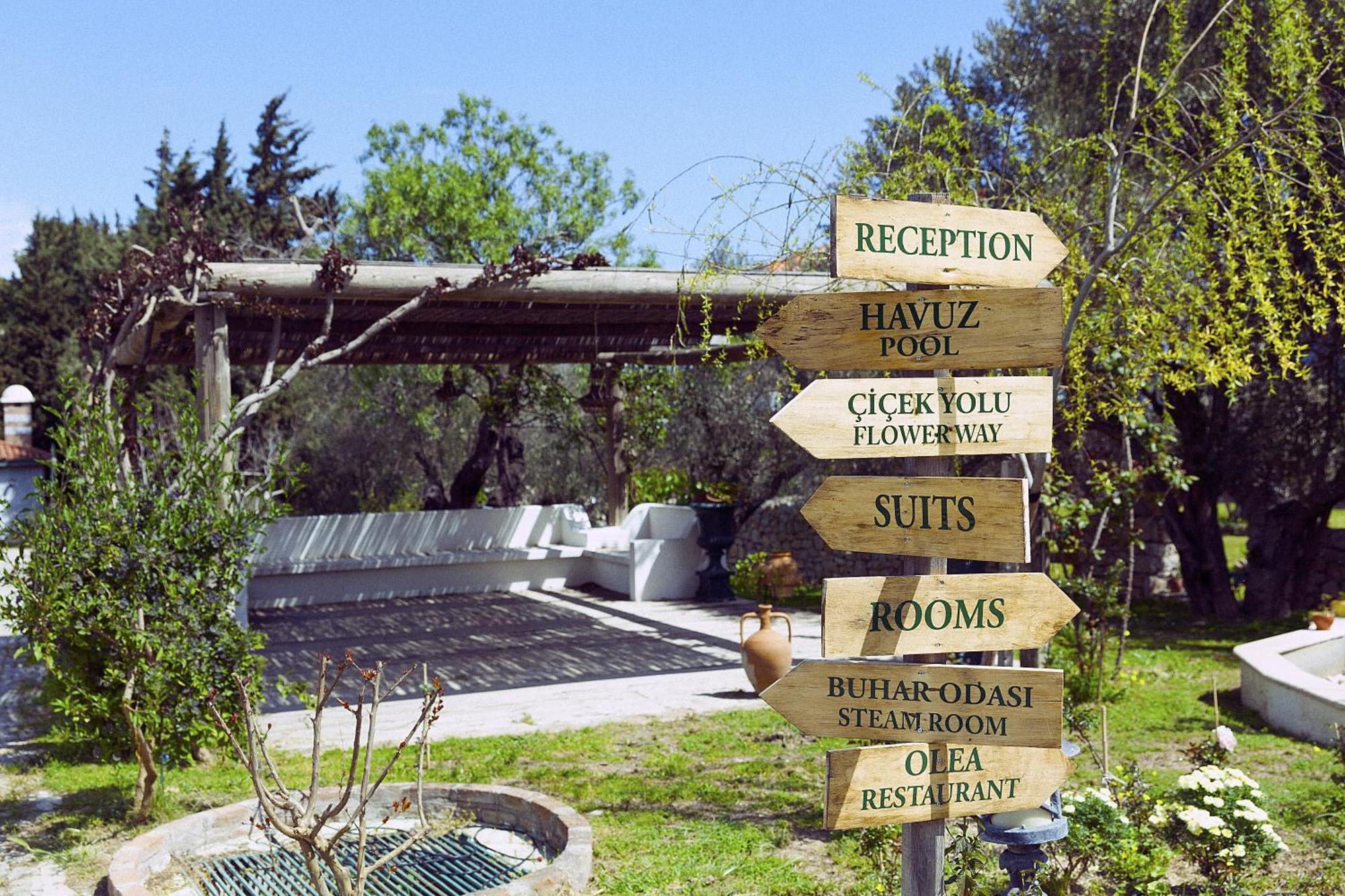Olive Farm Of Datca Guesthouse (Adults Only) Zewnętrze zdjęcie