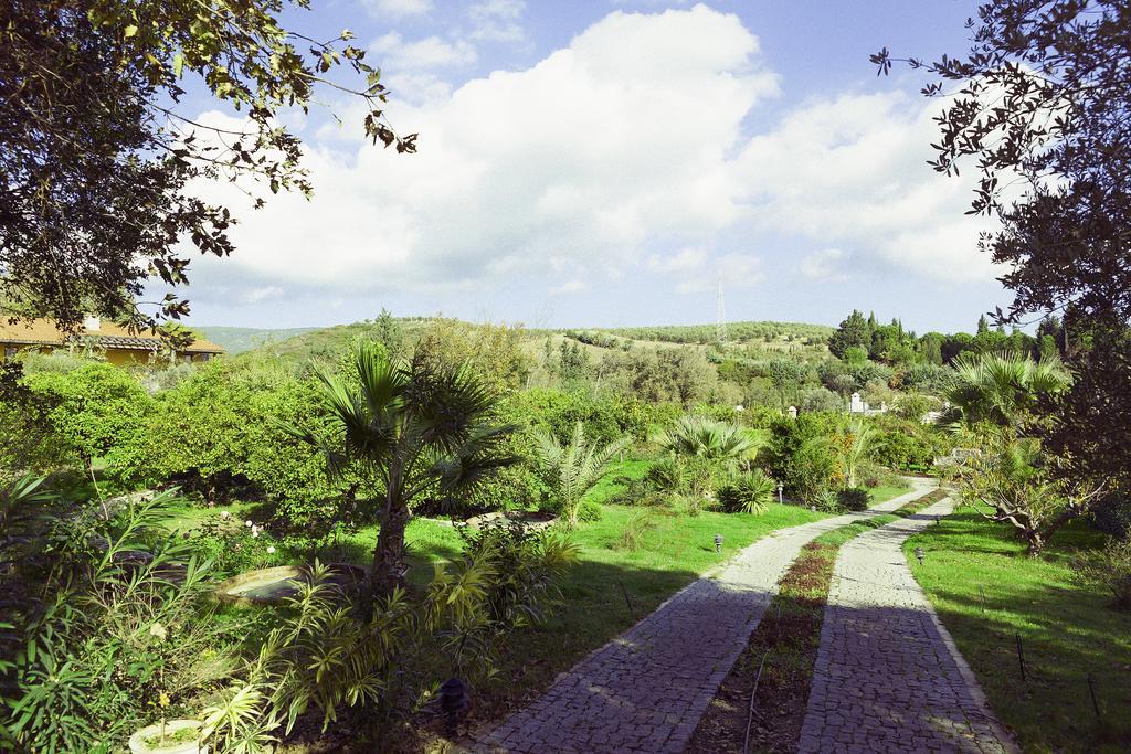 Olive Farm Of Datca Guesthouse (Adults Only) Zewnętrze zdjęcie