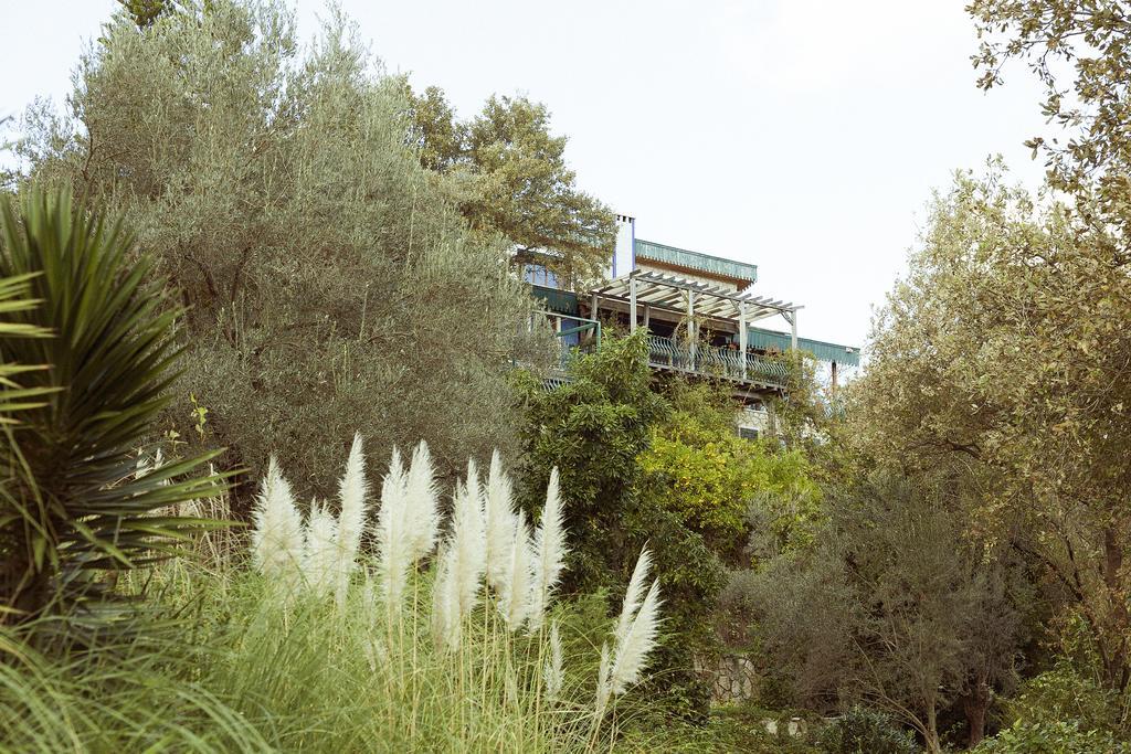 Olive Farm Of Datca Guesthouse (Adults Only) Zewnętrze zdjęcie