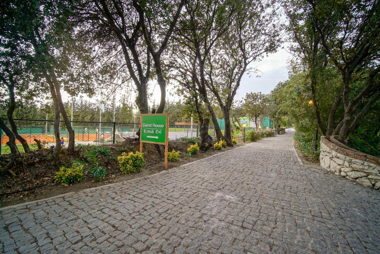 Olive Farm Of Datca Guesthouse (Adults Only) Zewnętrze zdjęcie