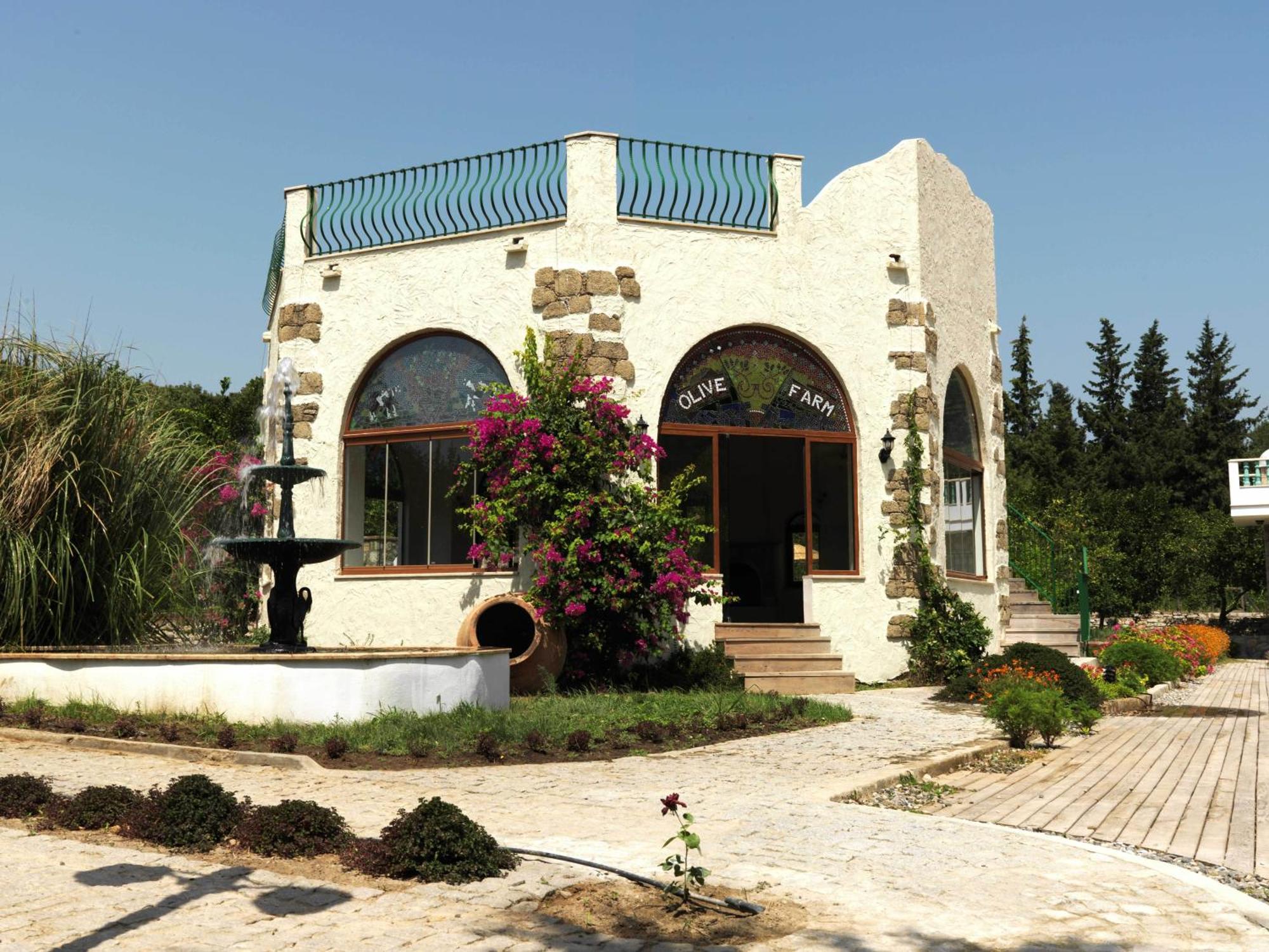 Olive Farm Of Datca Guesthouse (Adults Only) Zewnętrze zdjęcie