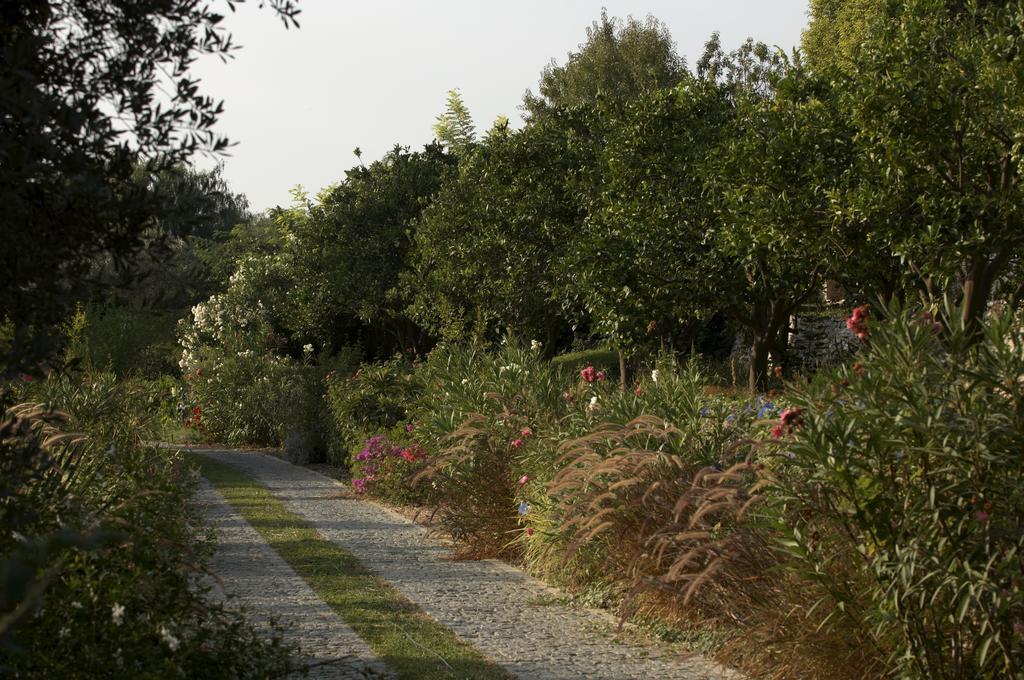 Olive Farm Of Datca Guesthouse (Adults Only) Zewnętrze zdjęcie