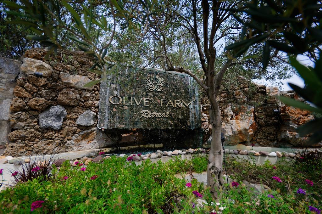 Olive Farm Of Datca Guesthouse (Adults Only) Zewnętrze zdjęcie