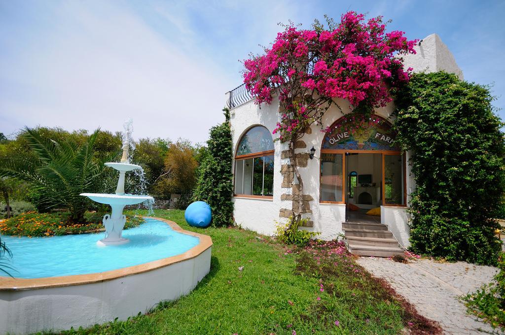 Olive Farm Of Datca Guesthouse (Adults Only) Zewnętrze zdjęcie
