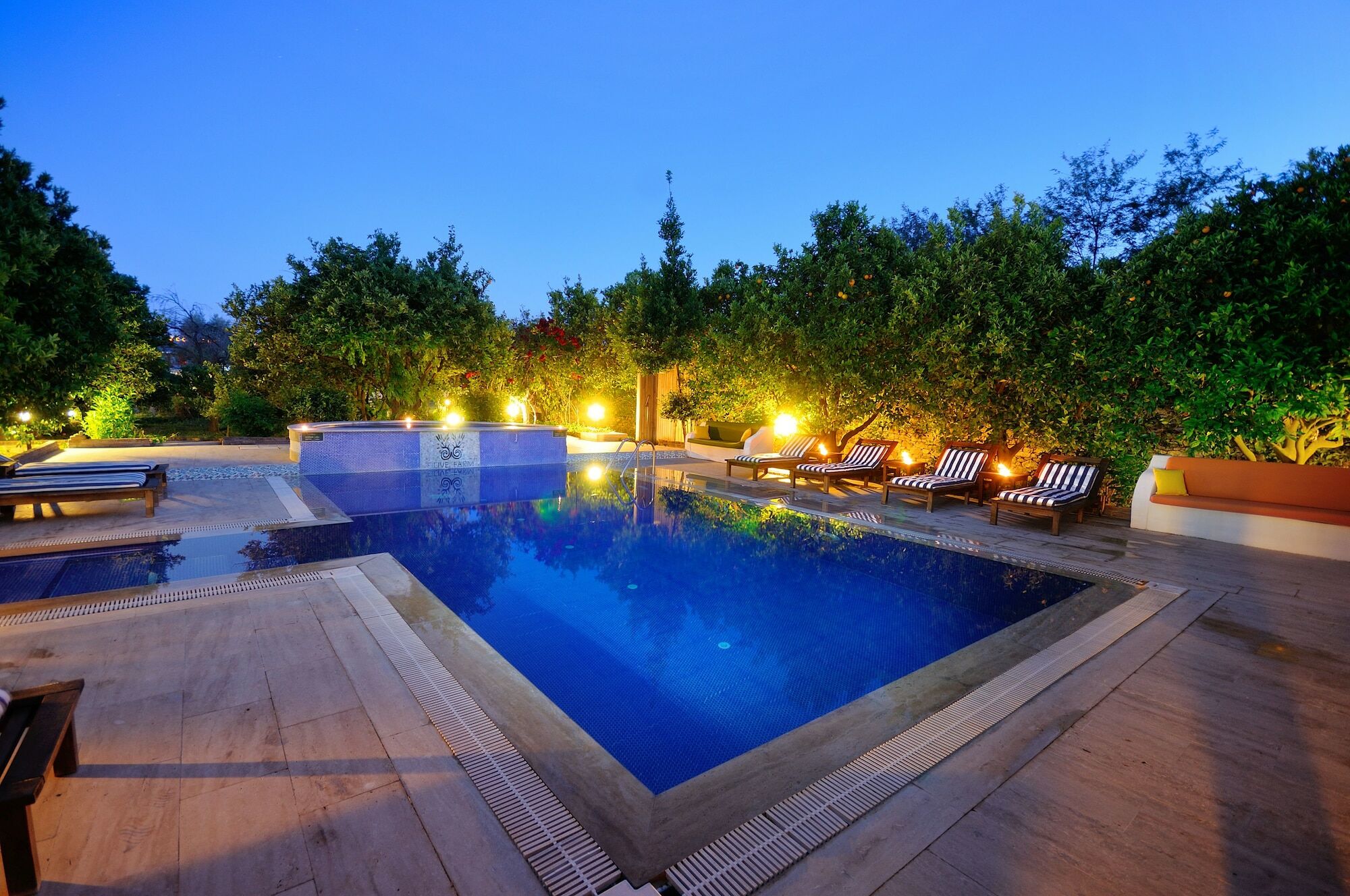 Olive Farm Of Datca Guesthouse (Adults Only) Zewnętrze zdjęcie